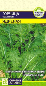 Горчица Ядреная  купить