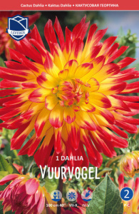 Георгина кактусовая Vuurvogel /1шт купить