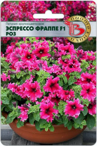 Петуния Эспрессо Фраппе F1 Роз купить
