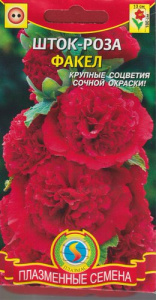 Шток-роза Факел  купить