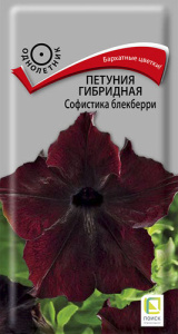 Петуния Софистика F1 Блекберри купить