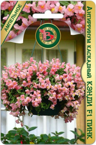 Антирринум каскадный Кэнди F1 Пинк купить