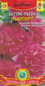 Шток-роза Ньюпорт  купить