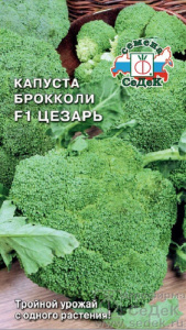 Капуста (брокколи) Цезарь  купить