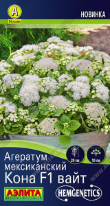 Агератум Кона F1 вайт мексиканский купить