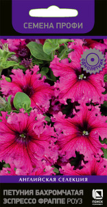Петуния Эспрессо Фраппе Роуз низкоросл  купить