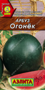 Арбуз Огонек  купить