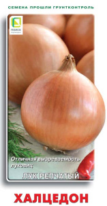 Лук (репчатый) Халцедон купить