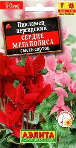 Цикламен персидский Сердце мегаполиса, смесь  купить