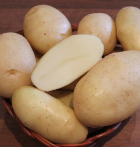 Картофель семенной Крепыш 3кг/10 купить