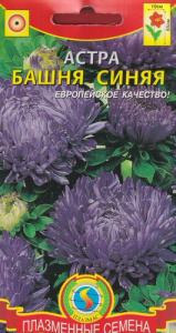 Астра Башня Синяя  купить