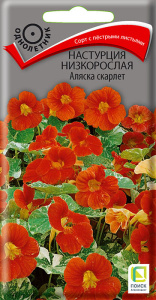 Настурция низкорослая Аляска скарлет купить