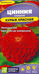 Цинния Кураж Красная карликовая купить