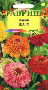 Цинния Шарм  купить