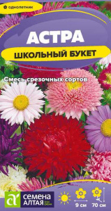Астра Школьный букет смесь купить