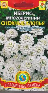 Иберис многолетний Снежные Хлопья  купить