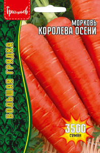 Морковь Королева Осени 3500шт купить