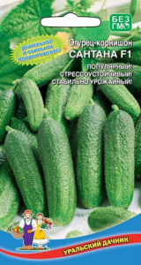 Огурец Сантана F1  купить