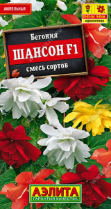 Бегония Шансон F1 смесь, ампельная купить