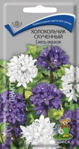 Колокольчик скученный Смесь окрасок купить
