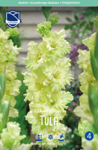 Гладиолус гофрированный Happy Touch (Tula)  купить