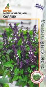 Базилик Карлик  купить