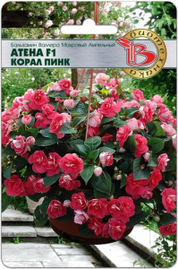 Бальзамин Валлера Атена F1 Корал Пинк  купить