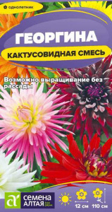 Георгина Кактусовидная смесь  купить