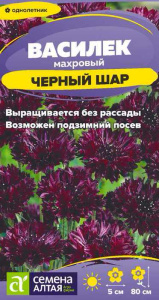 Василек Черный шар махровый купить