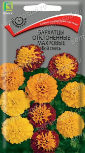 Бархатцы Бой, смесь откл. махр. купить