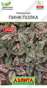 Гипоэстес Пинк Полка  купить