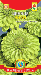 Цинния Энви купить