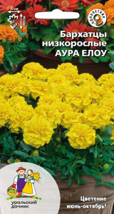 Бархатцы низкорослые Аура Елоу купить