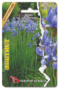 Ирис сибирский Аметист 10 шт купить