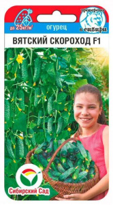 Огурец Вятский скороход купить