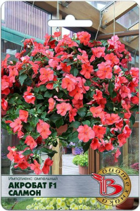 Импатиенс ампельный  Акробат F1 Салмон купить