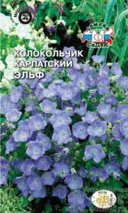 Колокольчик Эльф карпатский  купить