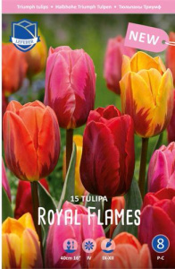 Смесь "Royal Flames" (1х15шт) купить