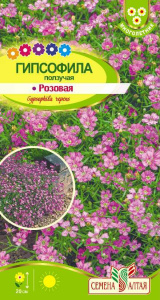 Гипсофила ползучая Розовая  купить