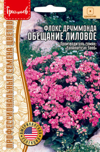 Флокс Обещание Лиловое махровый купить