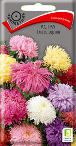 Астра Смесь сортов купить