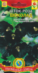 Шток-роза Шоколад  купить