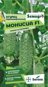 Огурец Монисия F1  купить
