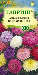Астра Великолепная с/с купить