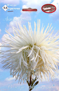 Астра Биата/1шт купить