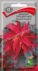 Амарант трехцветный Красный осьминог купить