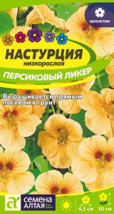 Настурция Персиковый Ликер низкорослая  купить