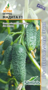 Огурец Мадита  купить