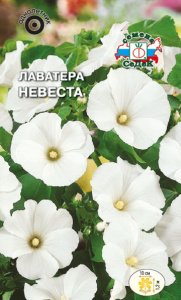 Лаватера Невеста  купить
