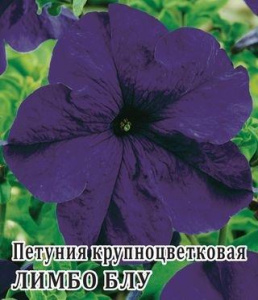 Петуния Лимбо F1 Блу крупноцв. 100шт Проф купить